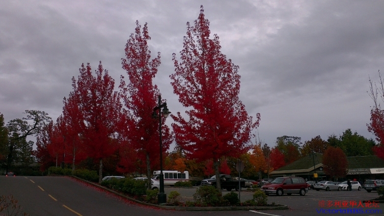 IMAG0889 (1024x577).jpg