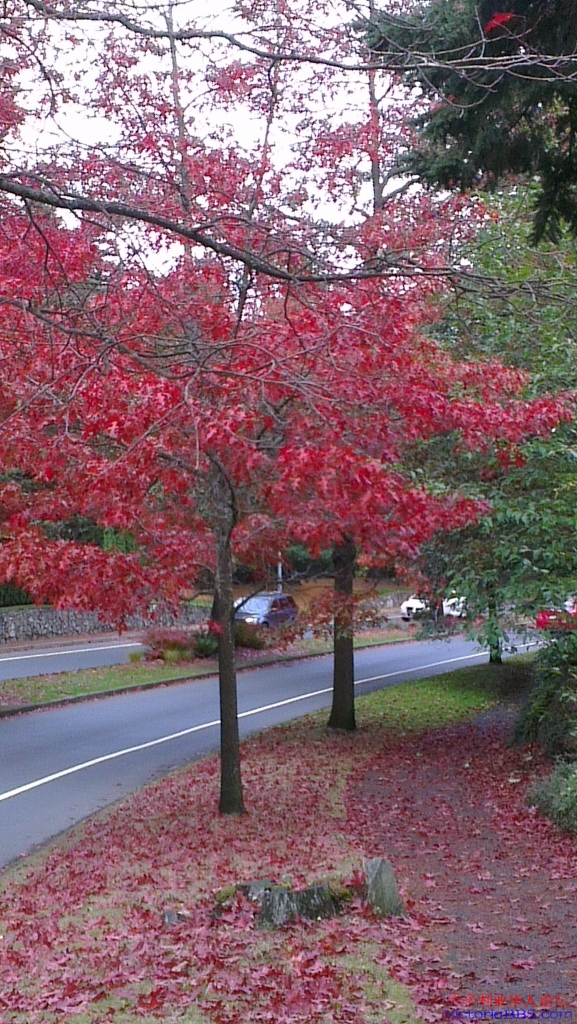 IMAG0836 (577x1024).jpg